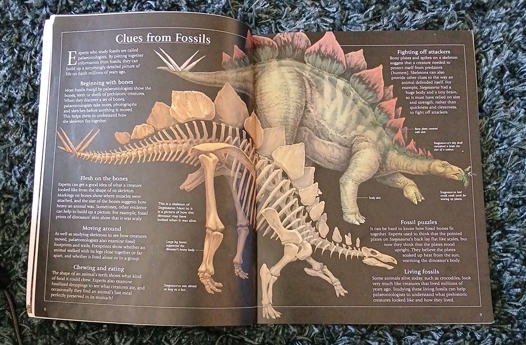 Prehistoric World – USBORNE WORLD HISTORY Vtg 2000