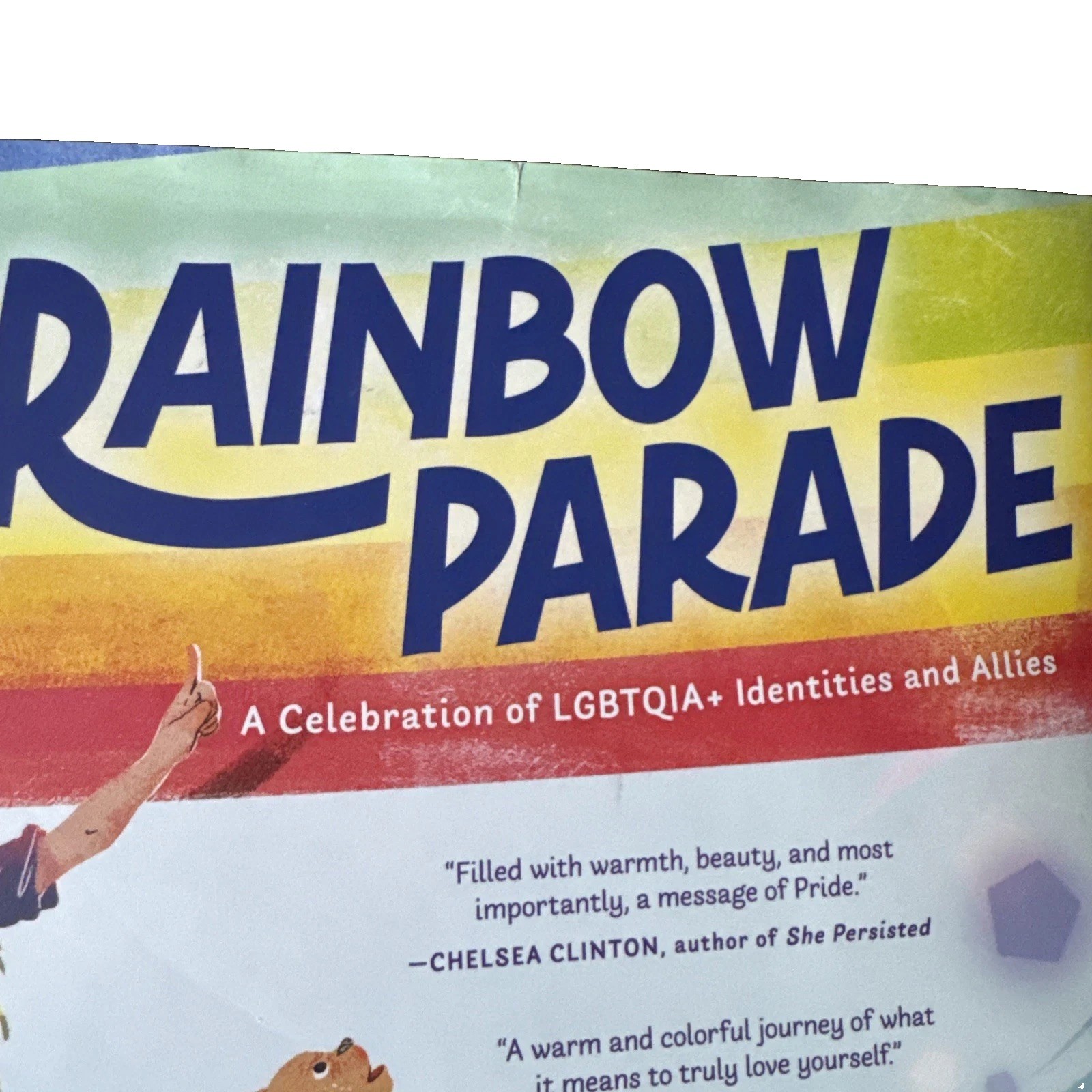 Rainbow Parade LGBTQIA+ Identities & Allies Shane Jordan HC New