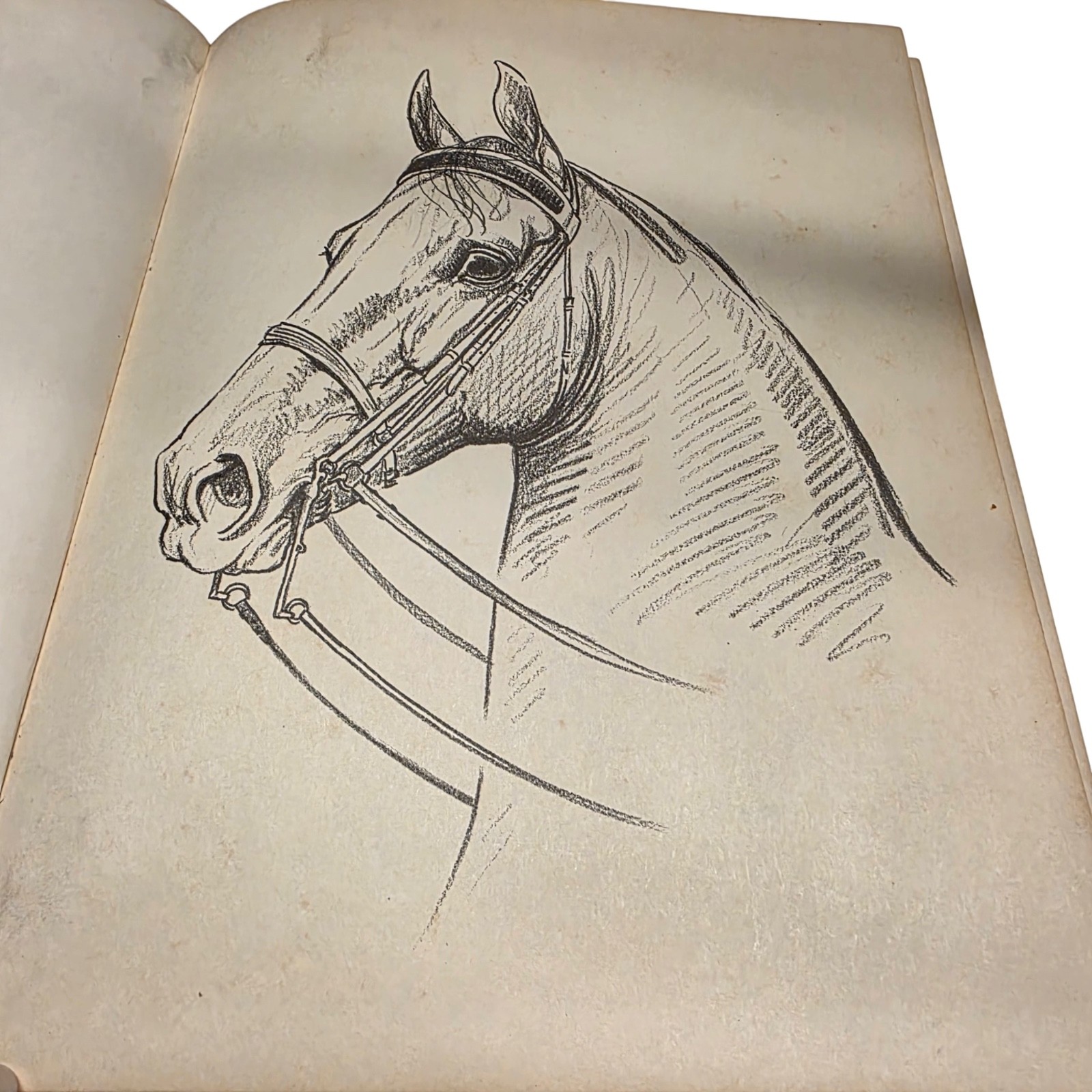 Vintage Horseback Riding Book by Jeanne Mellin 1970 HC Brown 9.25×7.25 Complete