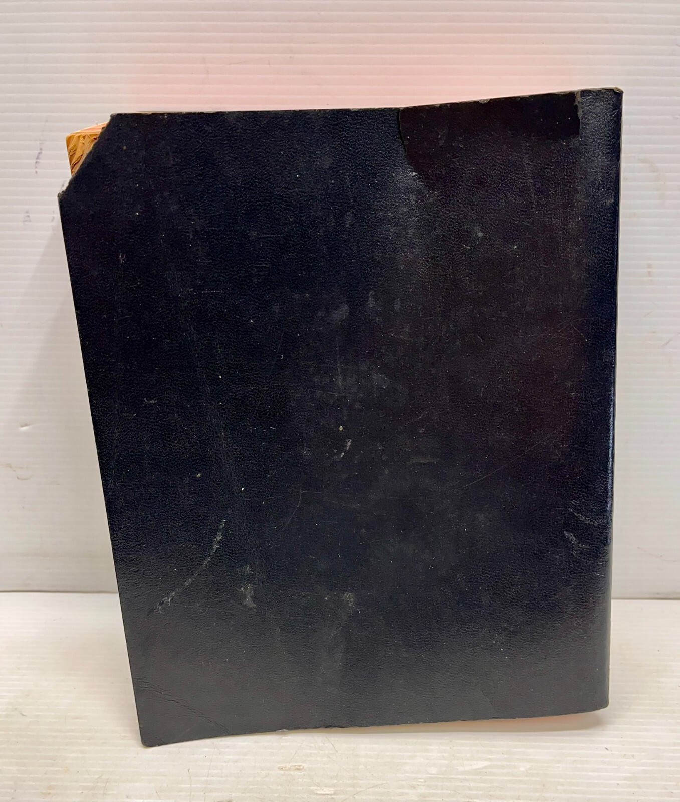 Holy Bible New American Bible NAB Catholic Press World Softcover First Ed 1971