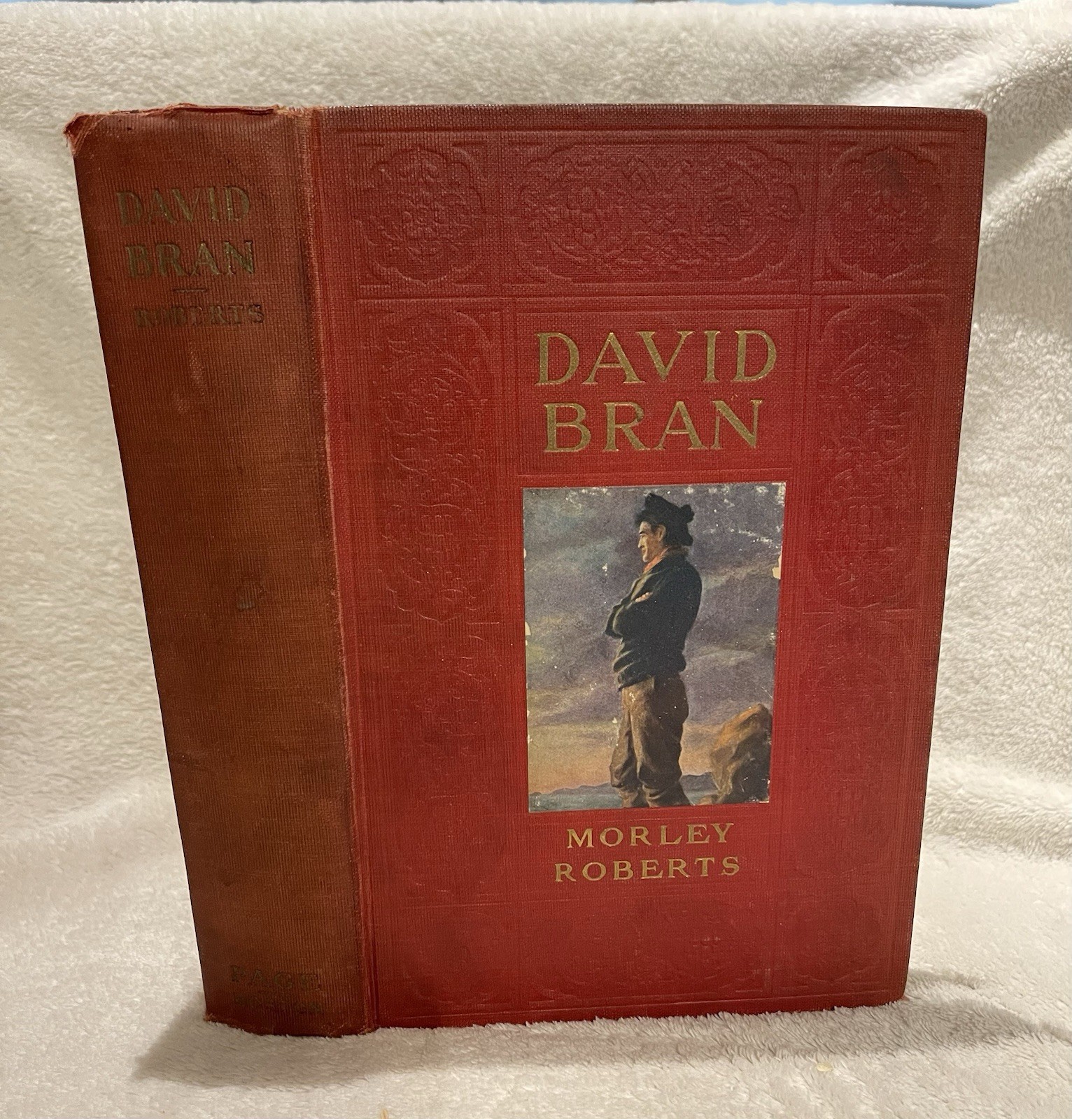 David Bran by Morley Roberts HC 1909