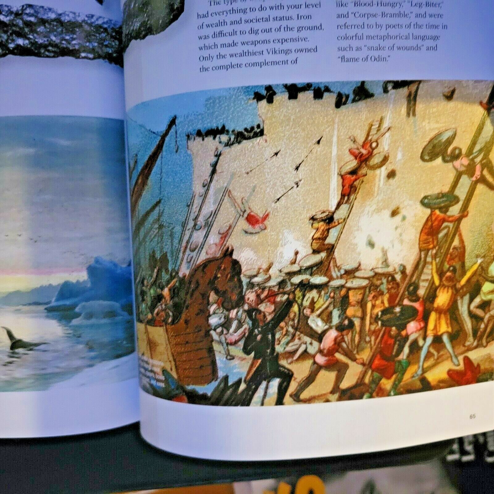 VIKINGS THE RULERS OF SEA & SWORD- History Publication- REISSUE Spesial Edition