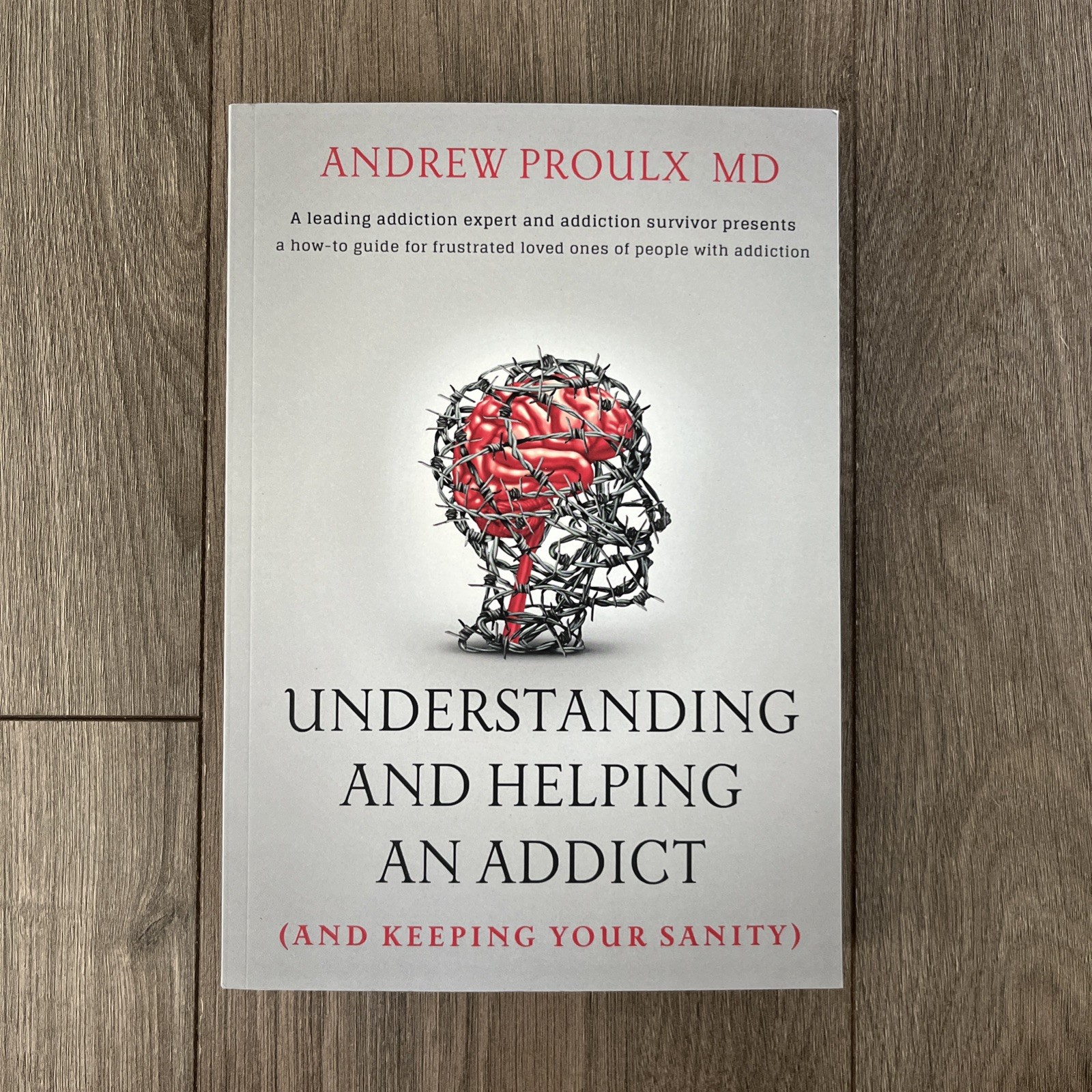 Understanding and Helping an Addict (and keeping your sanity) by Andrew Proulx
