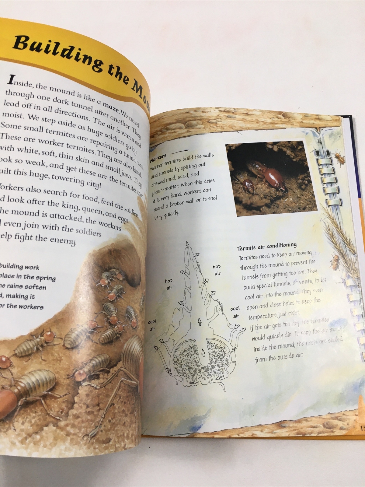 Through a Termite City – Carole Telford (Hardcover, 1998) Amazing Journeys Ser.