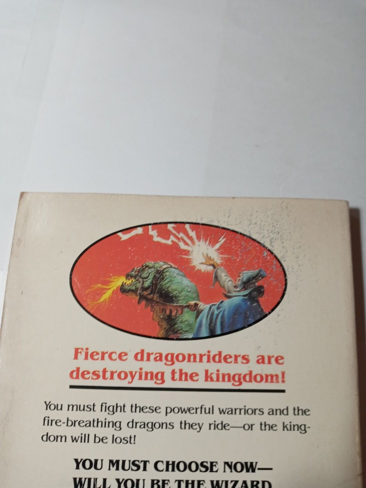 Wizards, Warriors & You -Book 2 – The Siege of the Dragonriders