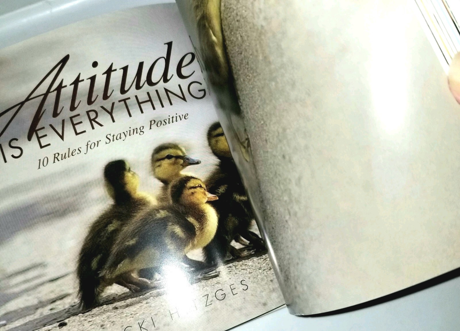 Attitude Is Everything 10 Rules For Staying Positive A Book By Vicki Hitzges