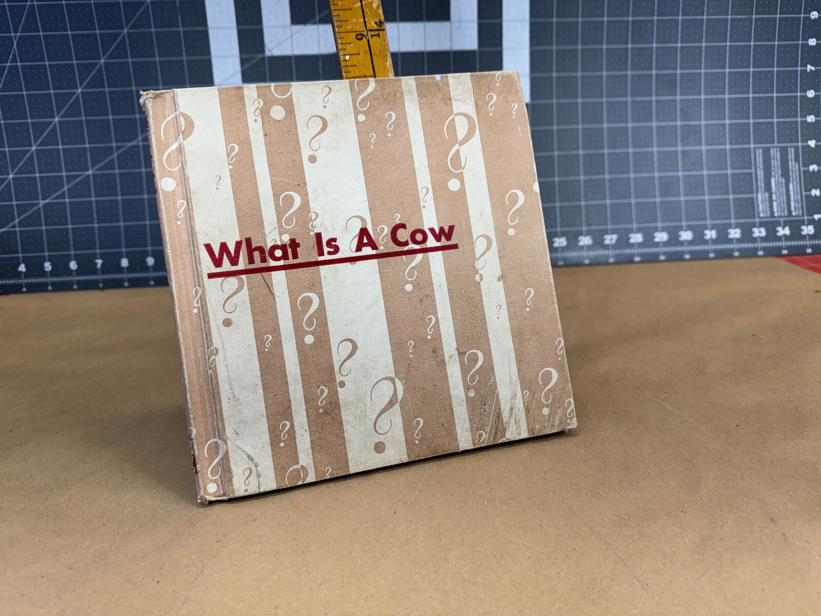 What is a Cow (The What is it series) 1957 Gene Darby Vtg Children’s book b