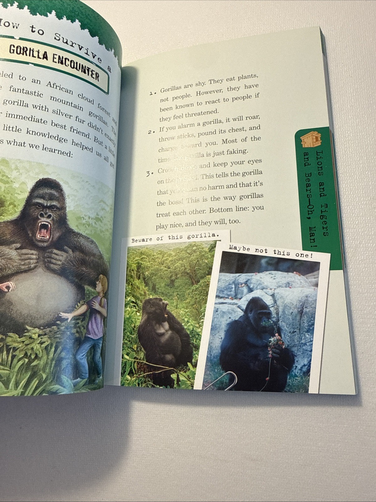 Magic Tree House Survival Guide by Natalie Pope Boyce and Mary Pope Osborne…