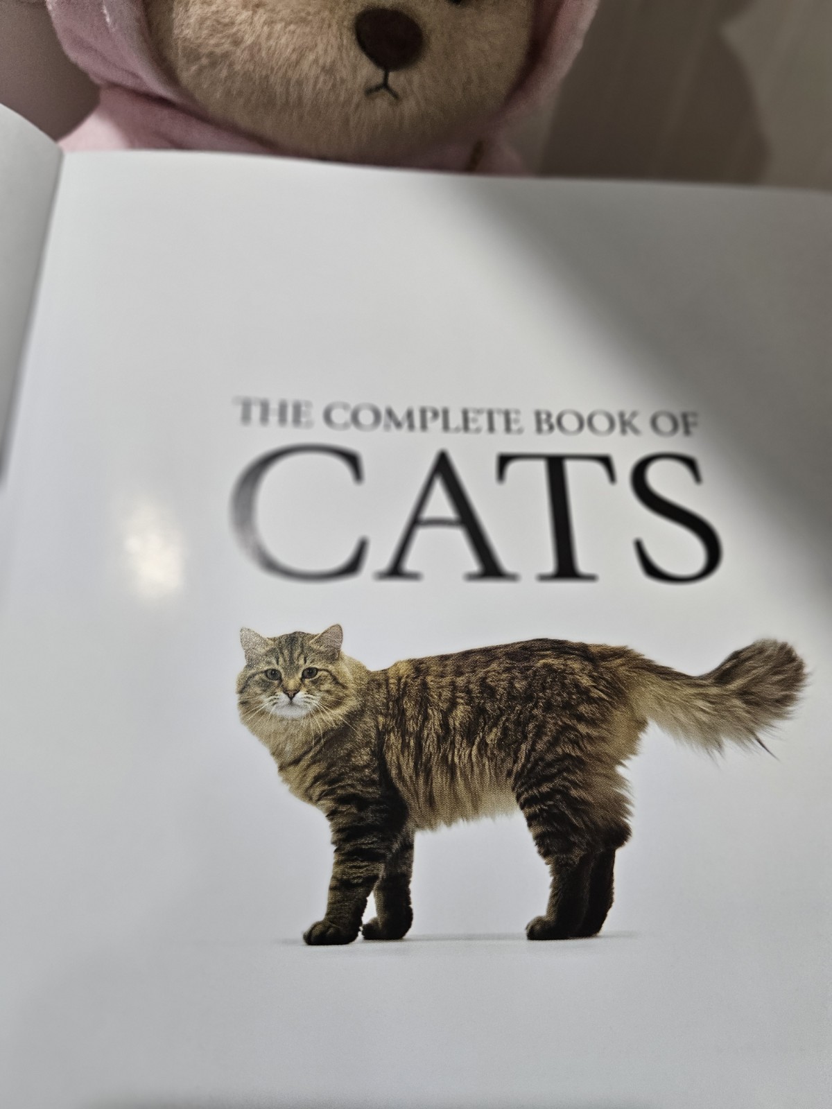 Complete book of cats