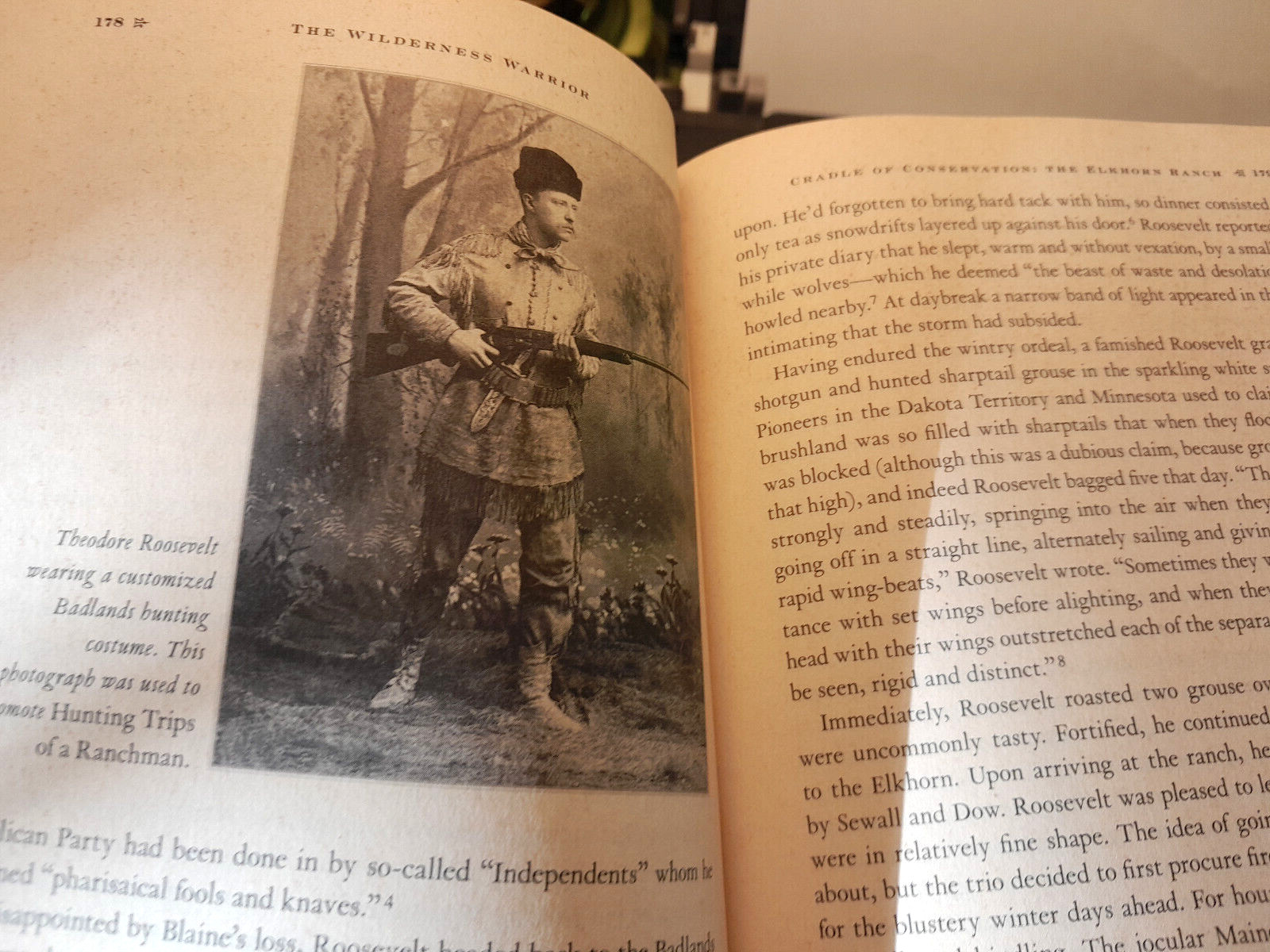 2009 The Wilderness Warrior – Douglas Brinkley, Roosevelt Bio, 1st Ed., HC/DJ