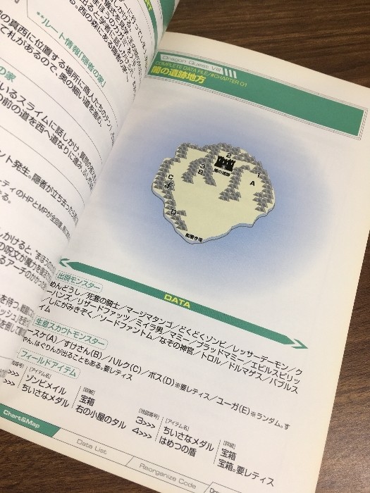 Strategy Book Dragon Quest Viii Complete Data Collection 2005 Published Ura Mono