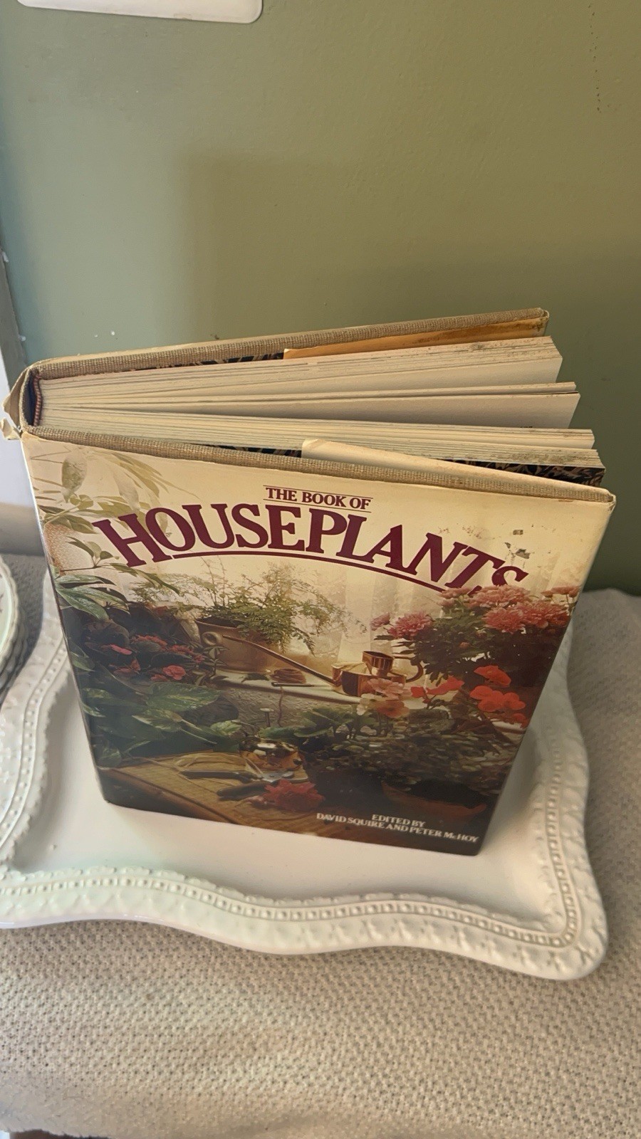 Vintage 1970s Book “The Book of Houseplants” By David Squire and Peter McHoy