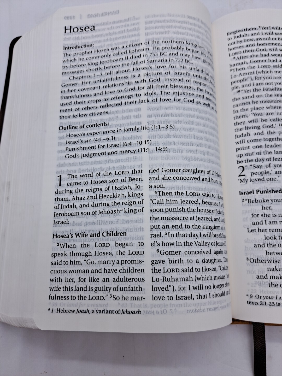 Zondervan Holy Bible NIV New International Version Large Print 2011