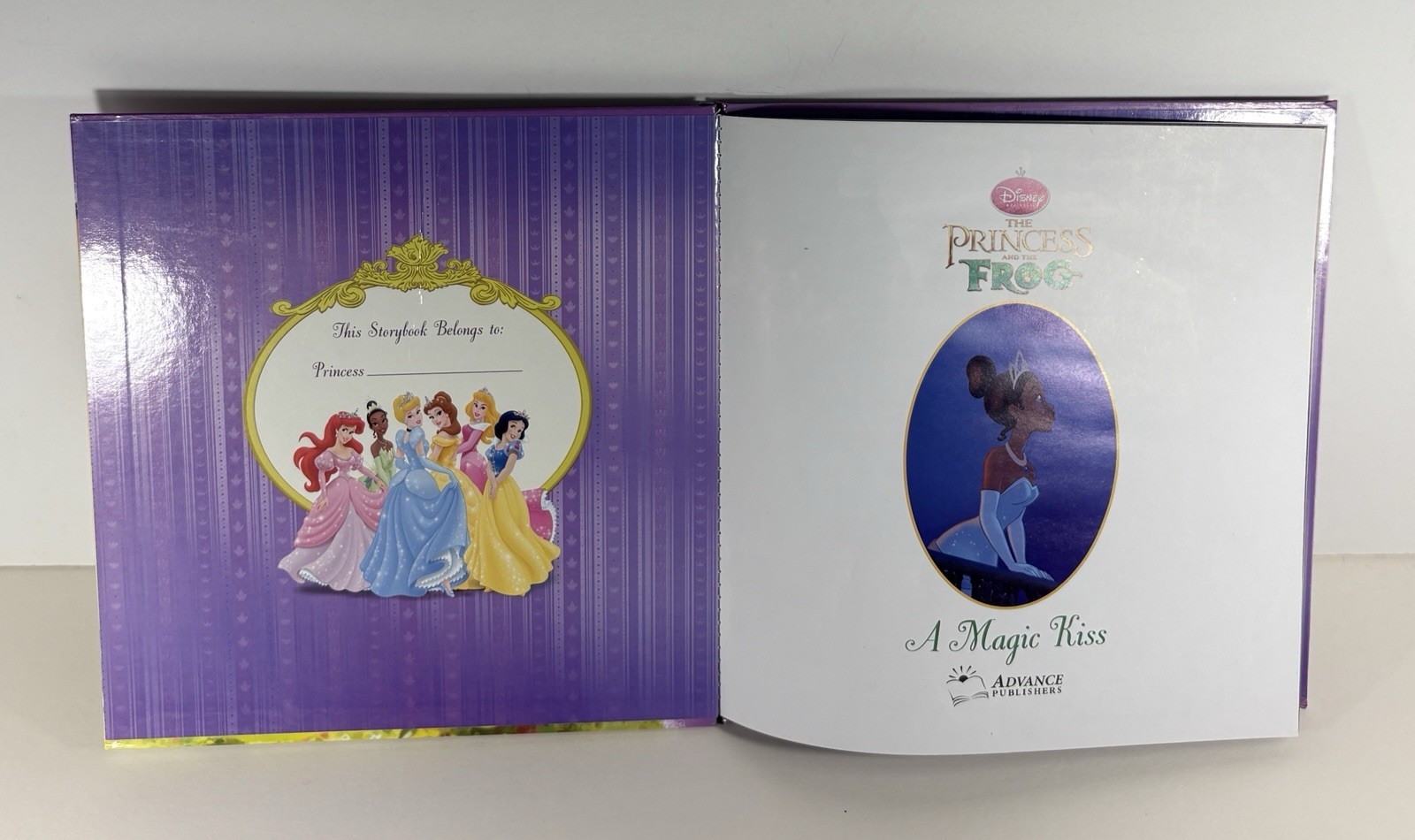 Lot of 9 Disney Princess Books: 1, 2, 3, 6, 7, 9, 10, 11, 12, Illustrated HCs