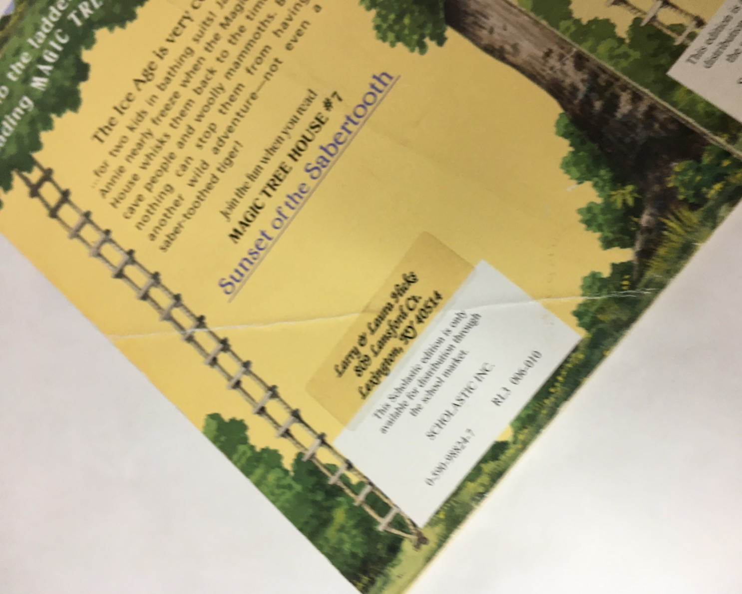 Lot of 16 Magic Tree House Series Books by Mary Pope Osborne Paperback