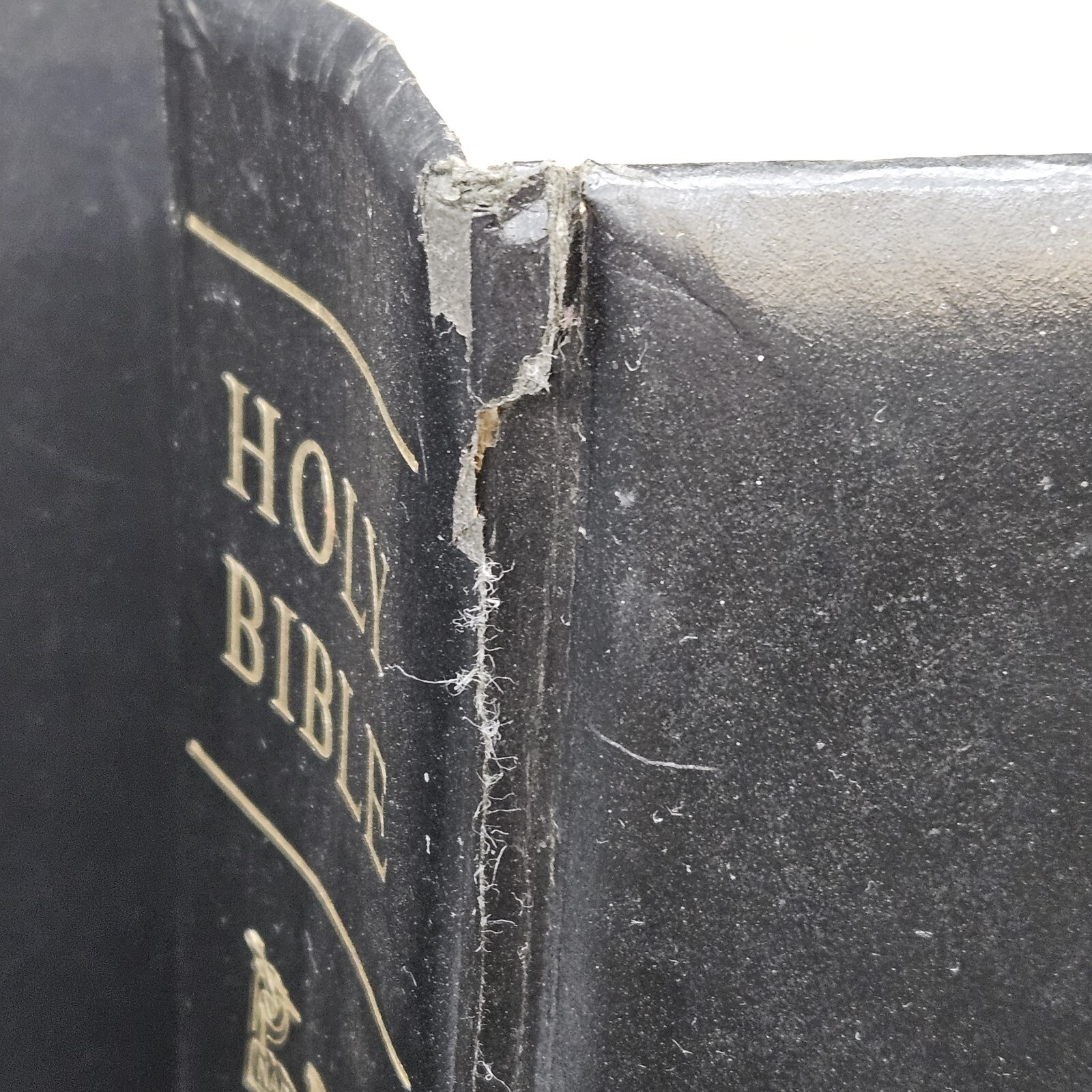 New American Bible NAB 1971 First Edition Special Family Ed. Red Letter Catholic