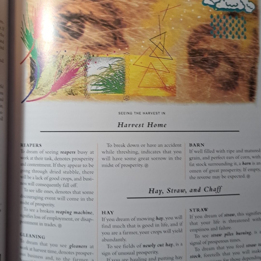 10000 Dreams Interpreted Book, By Gustavus Miller Wonderfully Illustrated