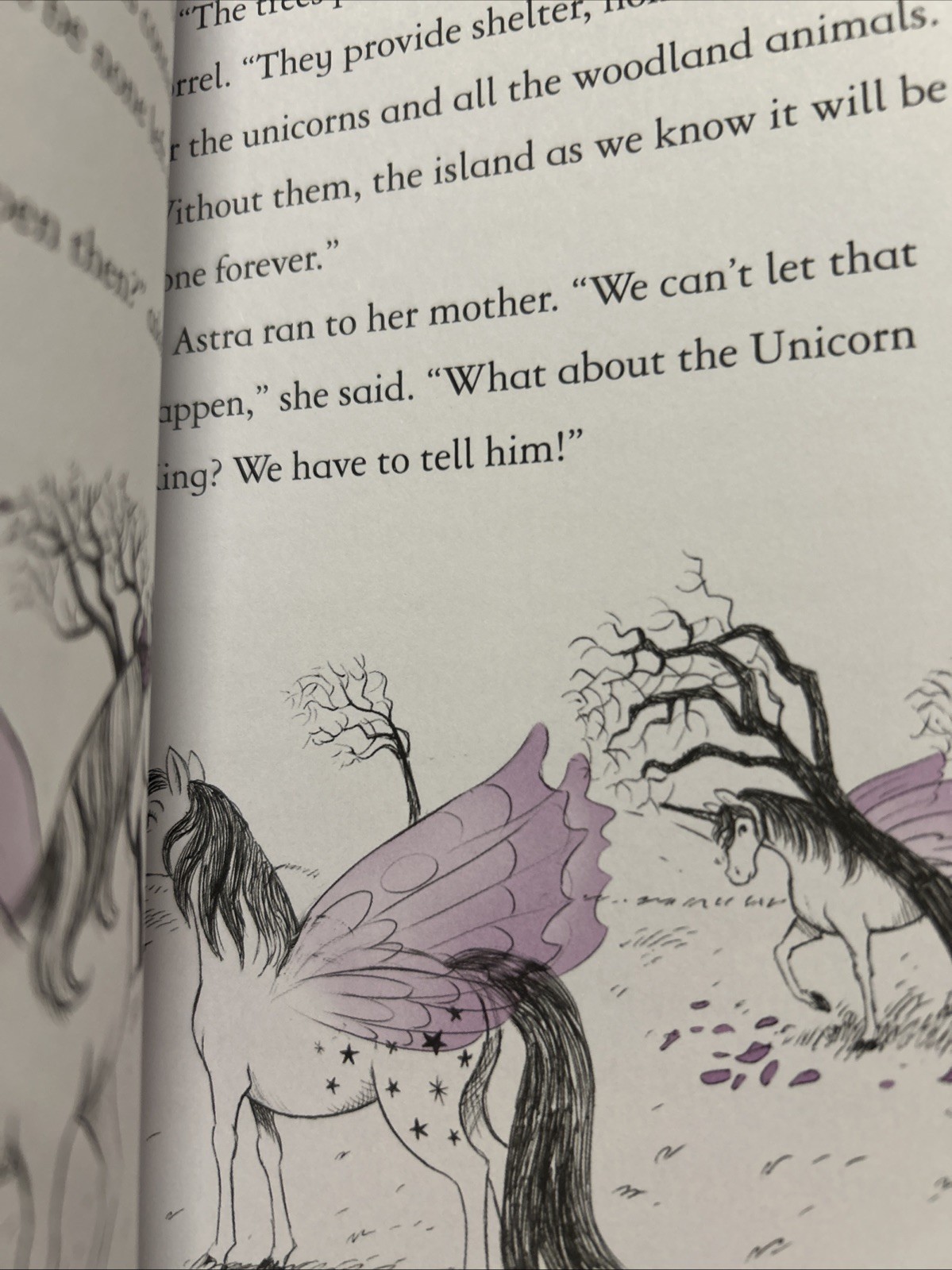 Fairy Unicorns Book Series Set of 9 Paperbacks by Zanna Davidson