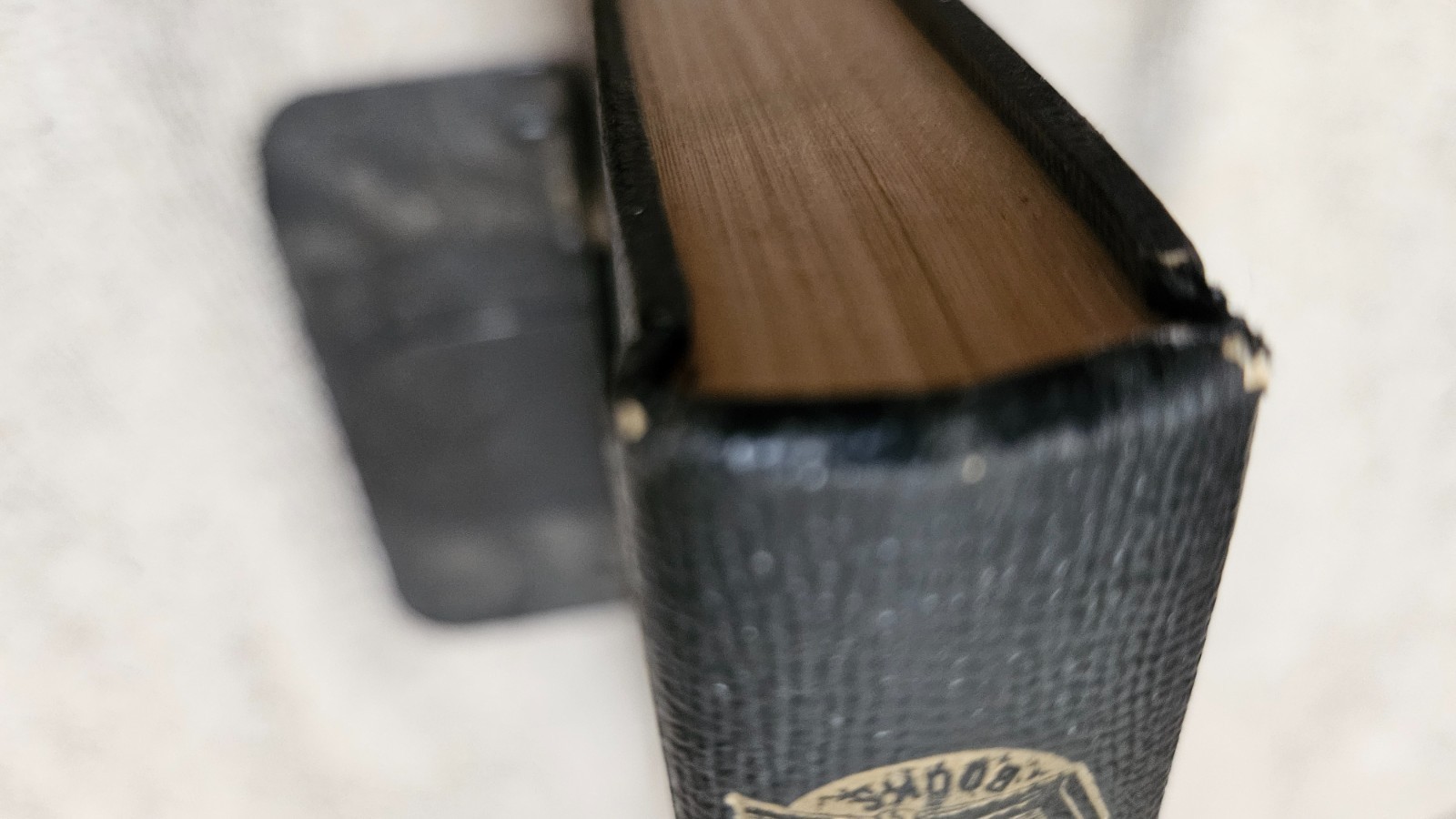 ‡ 🐒 Theory of Evolution and Facts of Science by Rimmer • 1935 HC 4th Ed Ex-Libr