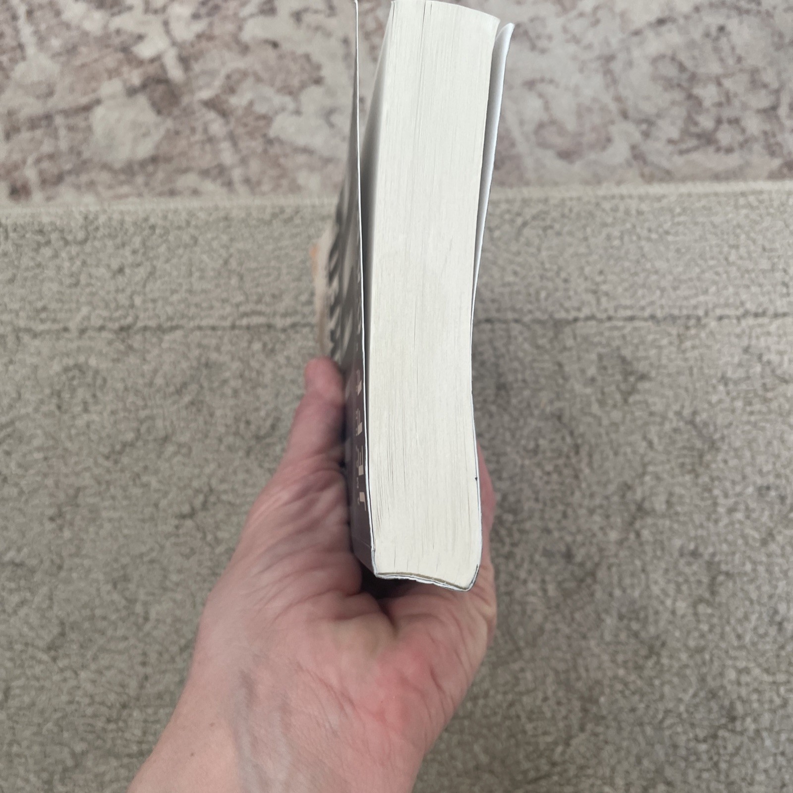 Smoked Out (David Wolf) (Volume 6) – Paperback By Carson, Jeff – GOOD