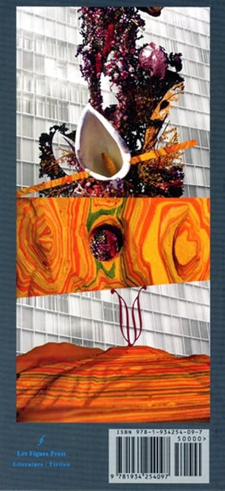I Go To Some Hollow by Amina Cain, Trade Paperback 2009 Les Figues Press Fiction