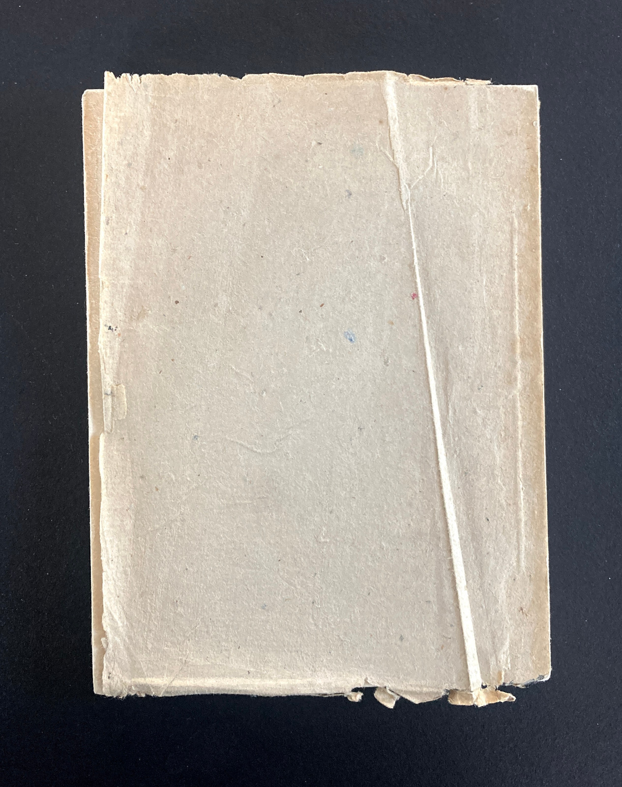 RARE—The Temple of Heaven | A.E. Grantham | Peking Private Press | 1925