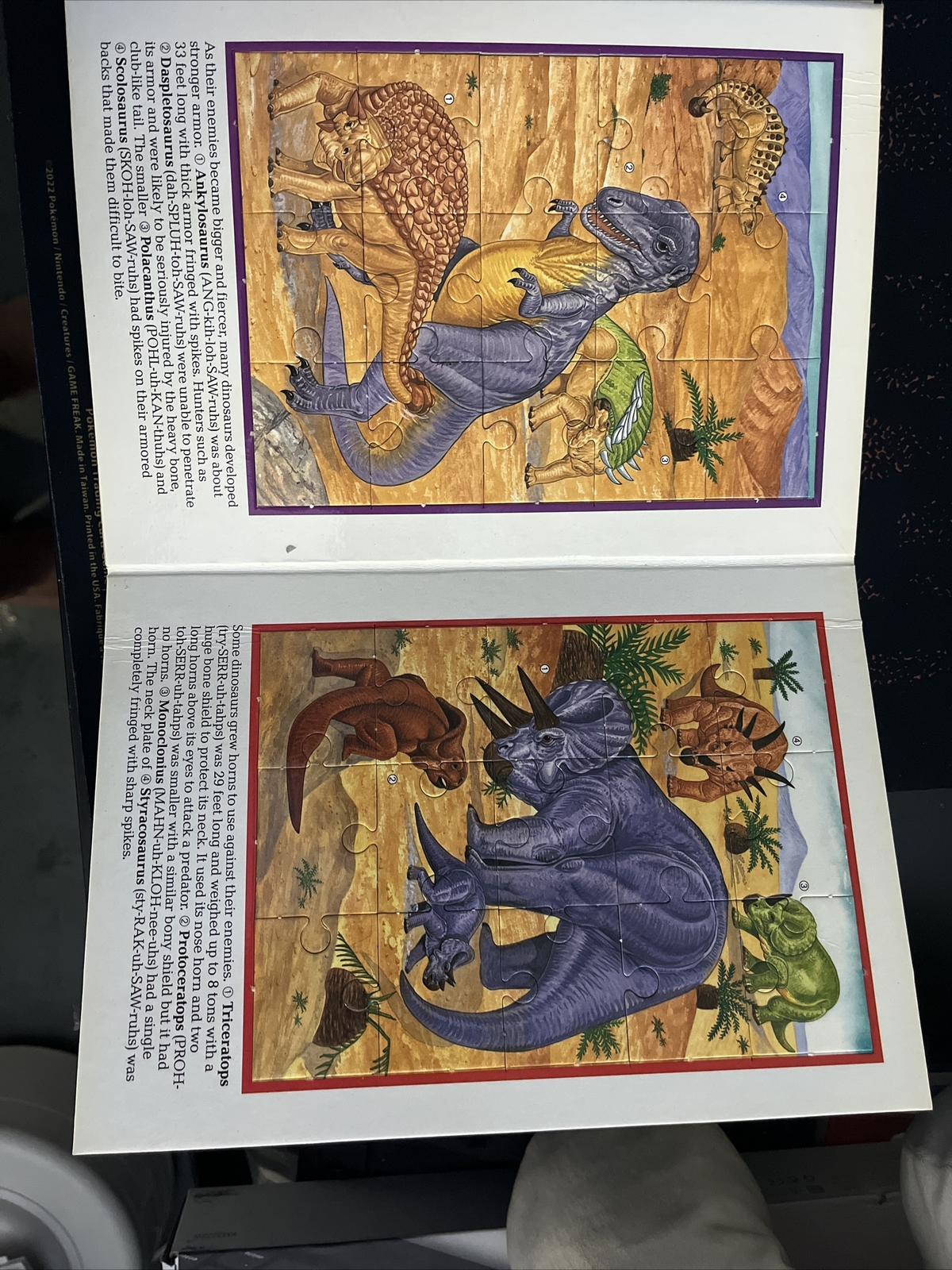 Dinosaur The Armored Giants Dinosaur Puzzle Book Hardcover EXCELLENT Vintage