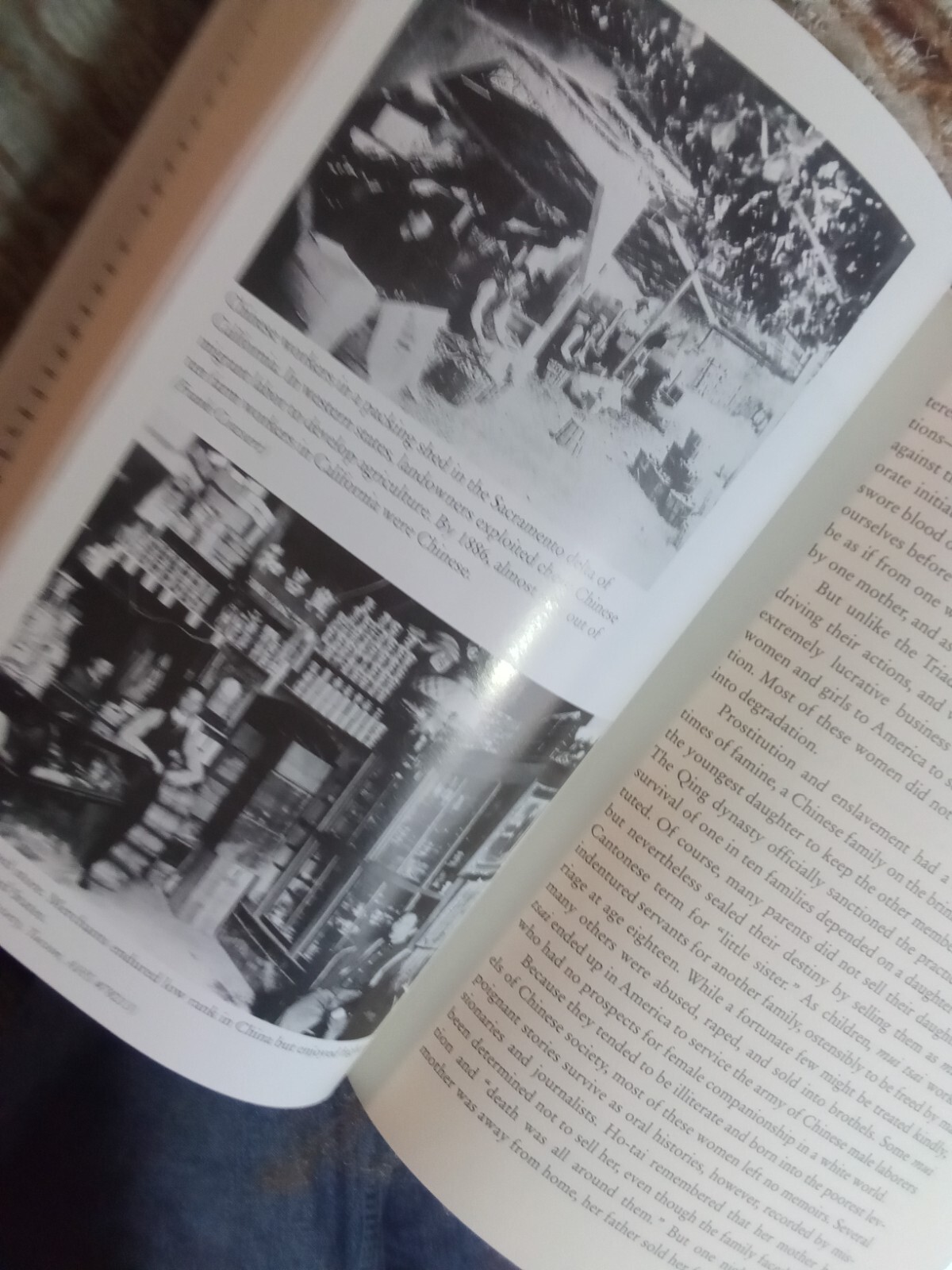The Chinese in America: A Narrative History by Iris Chang (2003,HCDJ) identity