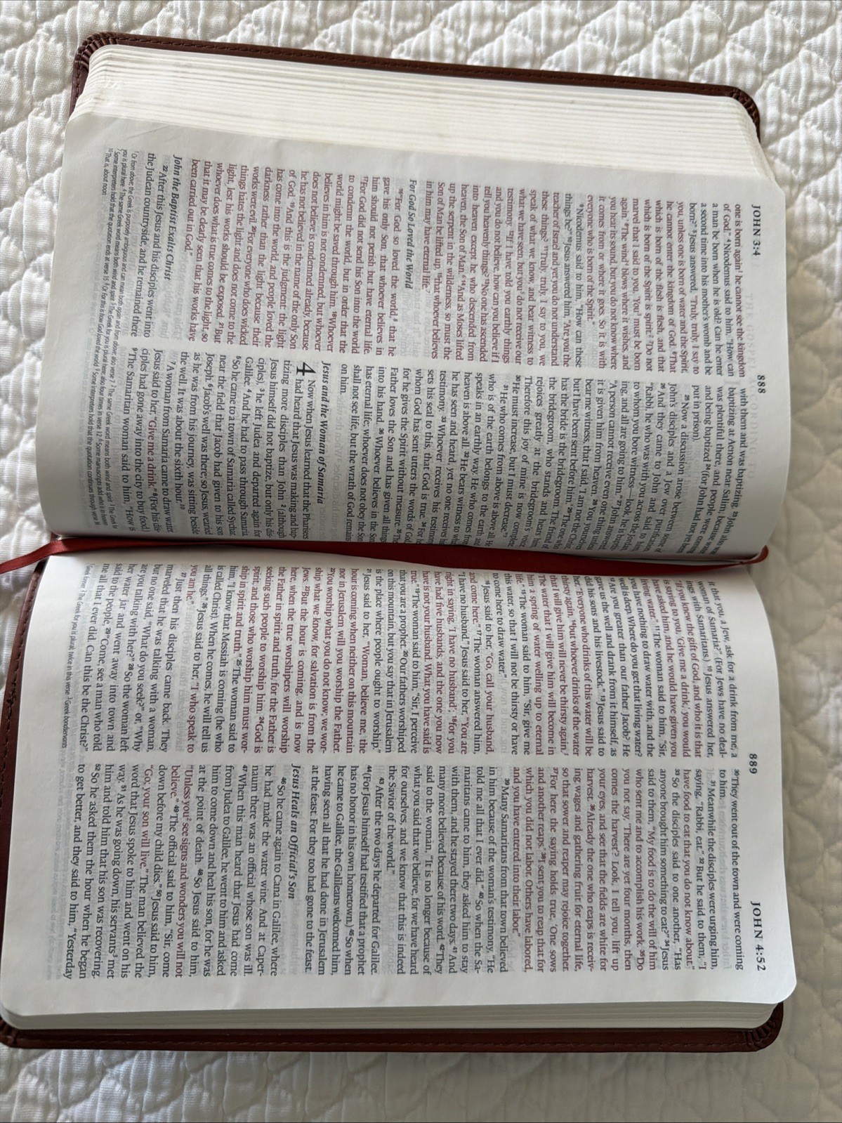 ESV Thinline Bible TruTone Nutmeg Filigree Design Red Letter Text 9781581347210