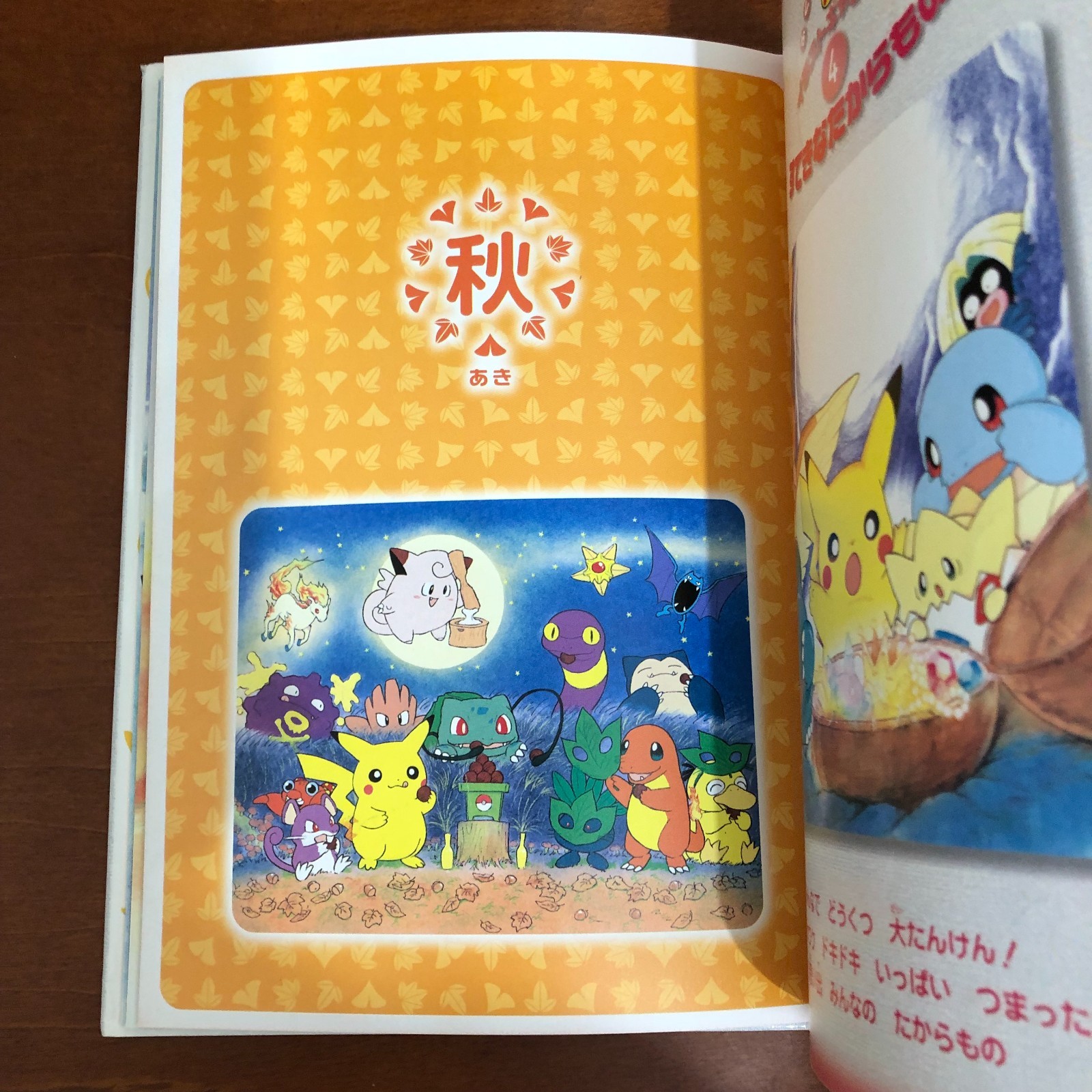 Pokemon Pikachu Picture Diary Let’s Go with Pikachu Keiko Fukuyama Art Book