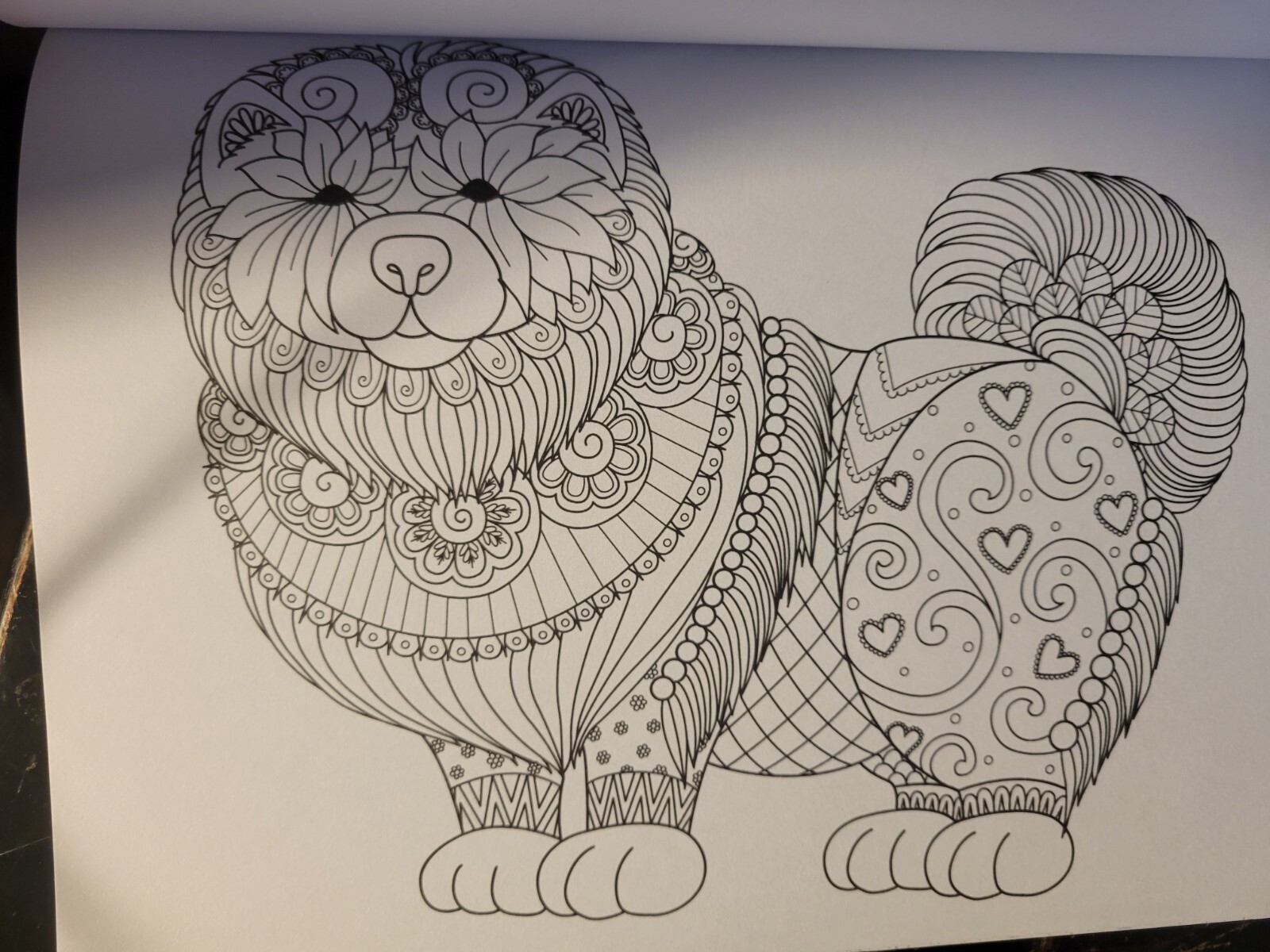 MAGNIFICENT CREATURES Vol 13 Adult Coloring Book by TOPIX MEDIA – 47 PRINTS