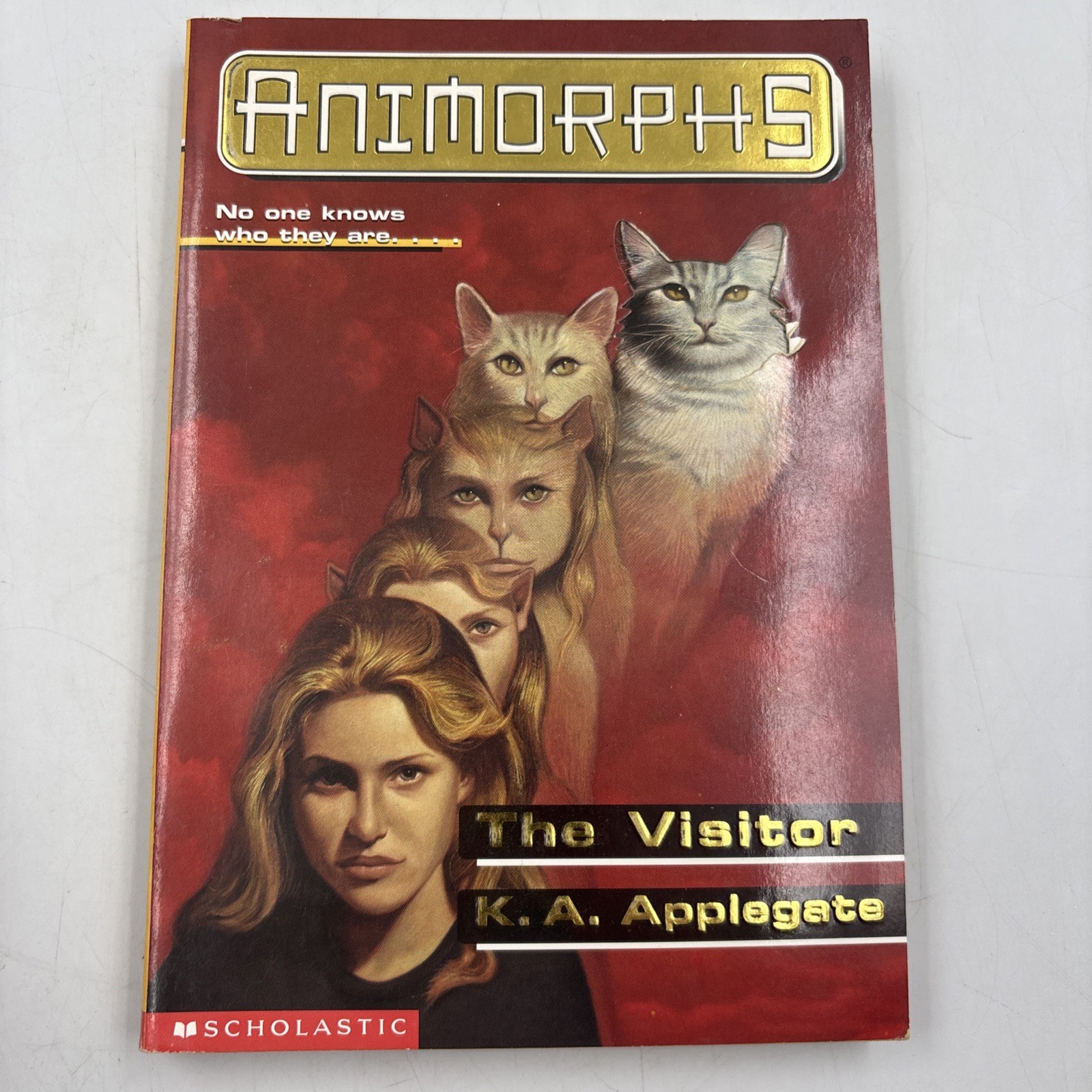 Animorphs Book Lot of 15 K.A. Applegate Scholastic Paperback Vintage 15