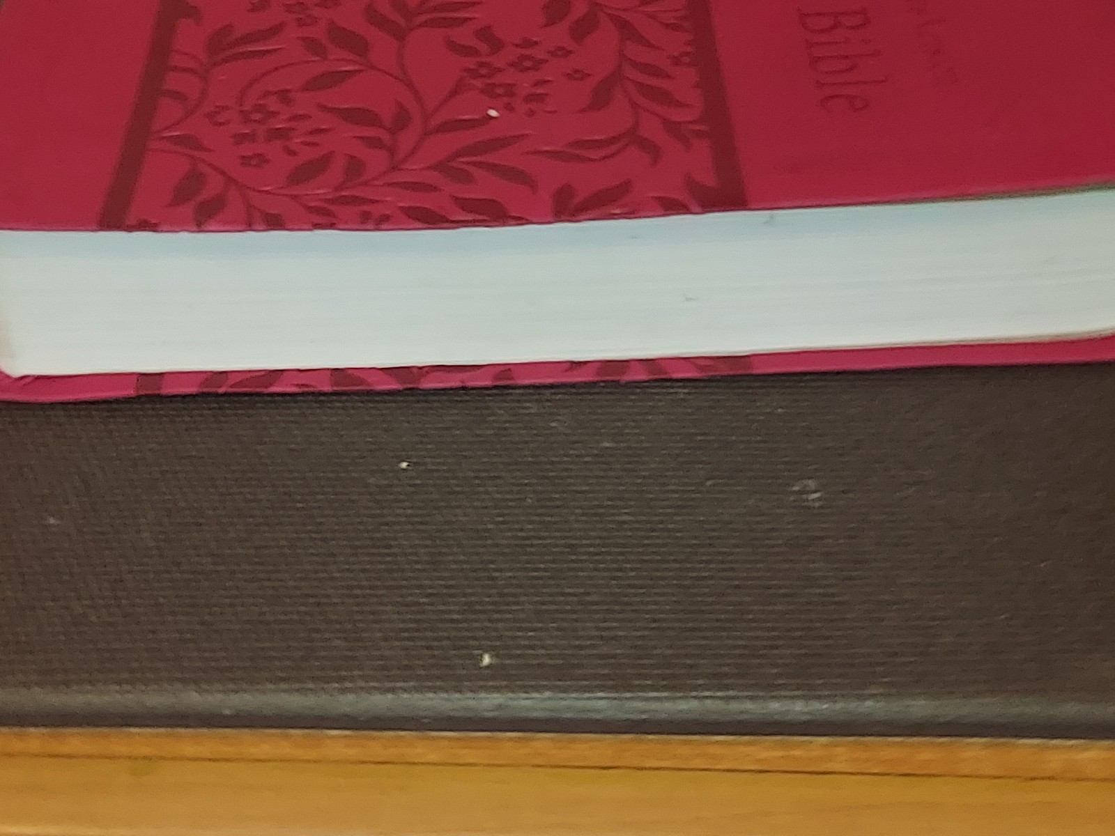 Red King James Version Holy Bible Imitation Leather Small Print in English