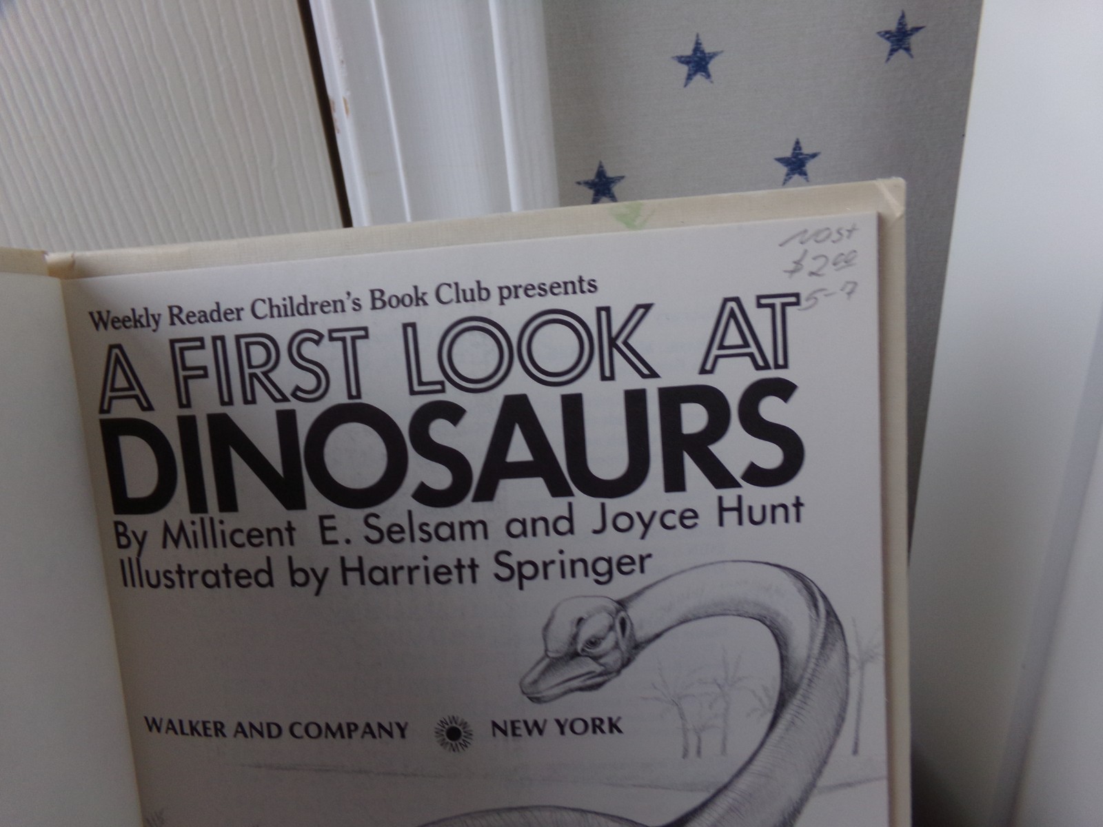 By Millicent E. Selsam A First Look at Dinosaurs Science Vtg Hardcover Book 1982