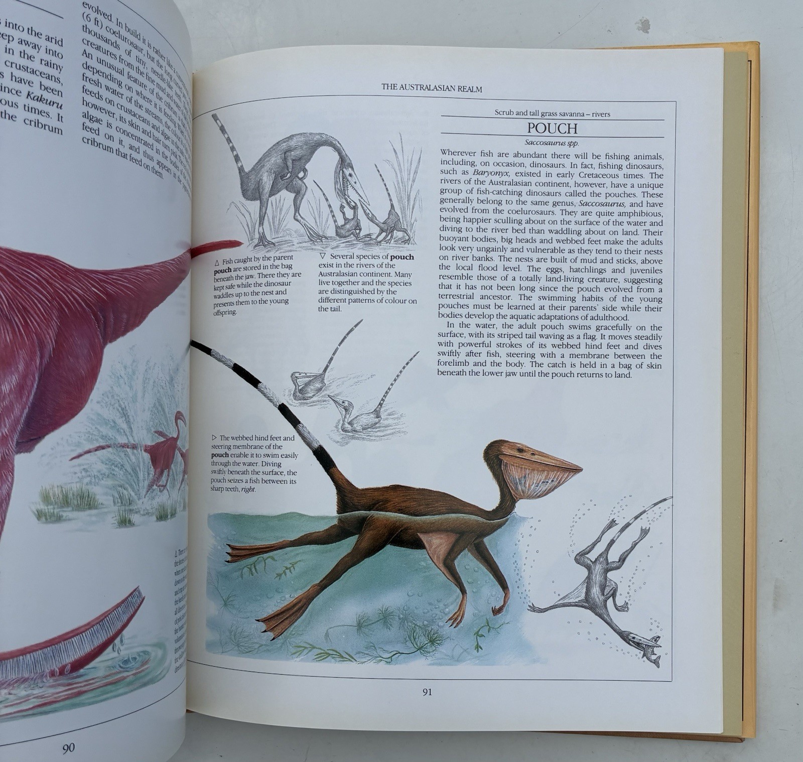 The New Dinosaurs: An Alternative Evolution by Dougal Dixon HCDJ 1st