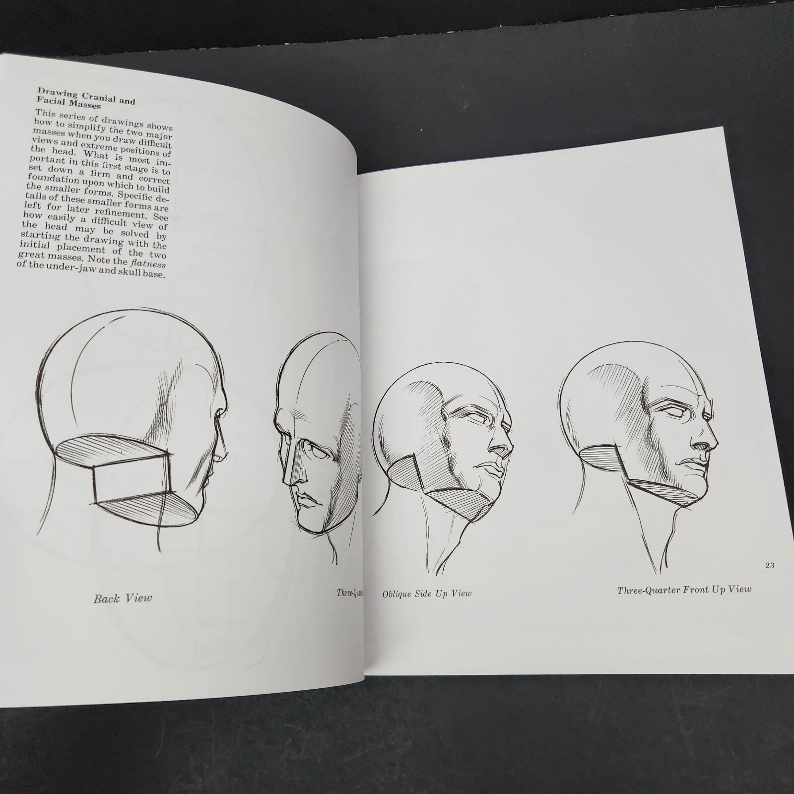 Drawing the Human Head by Burne Hogarth proportions types aging feature movement