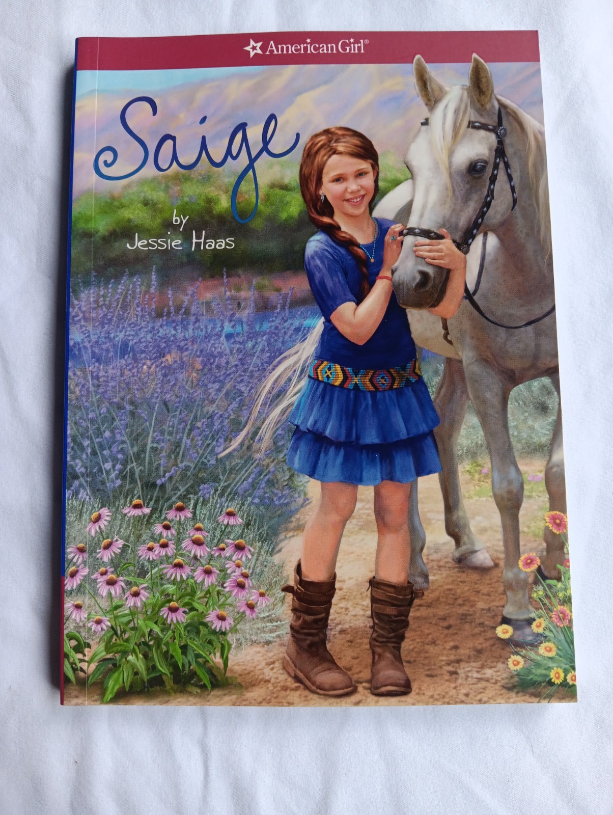 American Girl Lot Of 5 Paperback Books REBECCA, KIT, LANIE, ISABELLE & SAIGE
