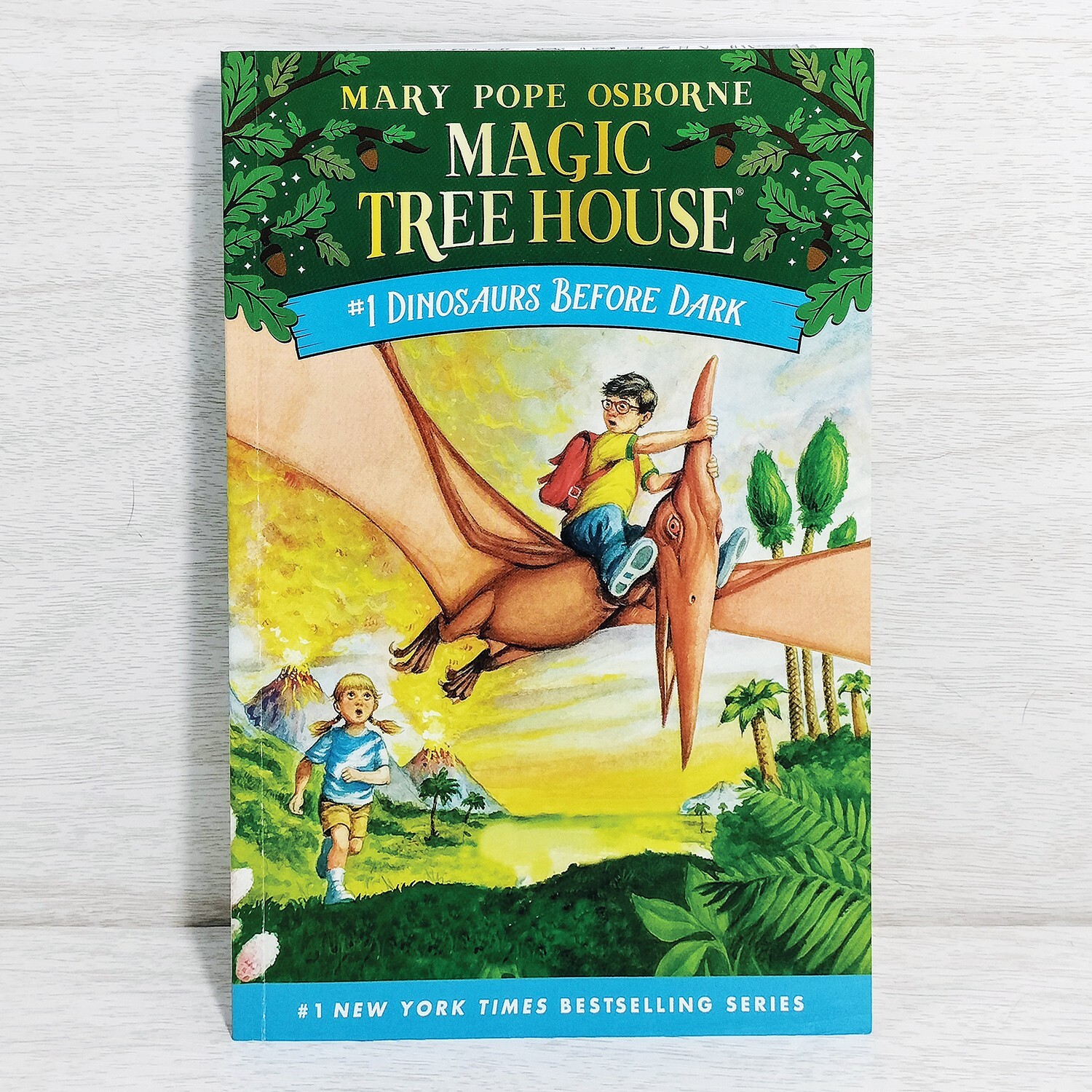 Magic Tree House Books 1-15 Complete Box Set Collection #1 PB Mary Pope Osborne