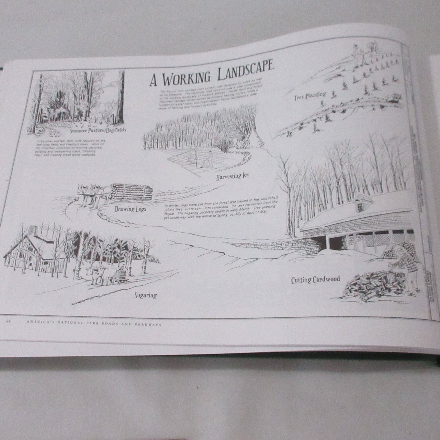 America’s National Park Roads Parkways Davis History Design Engineering Drawings