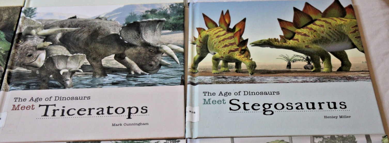 Lot 14 Library Bound Hardcover The Age of Dinosaurs Books