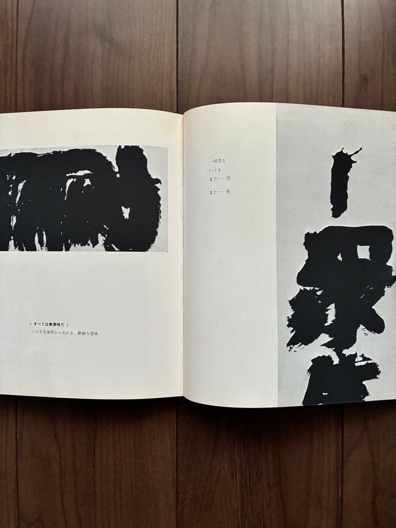 Roko Arai Works Collection Limited 300 Art Book calligraphy 24.5x21cm