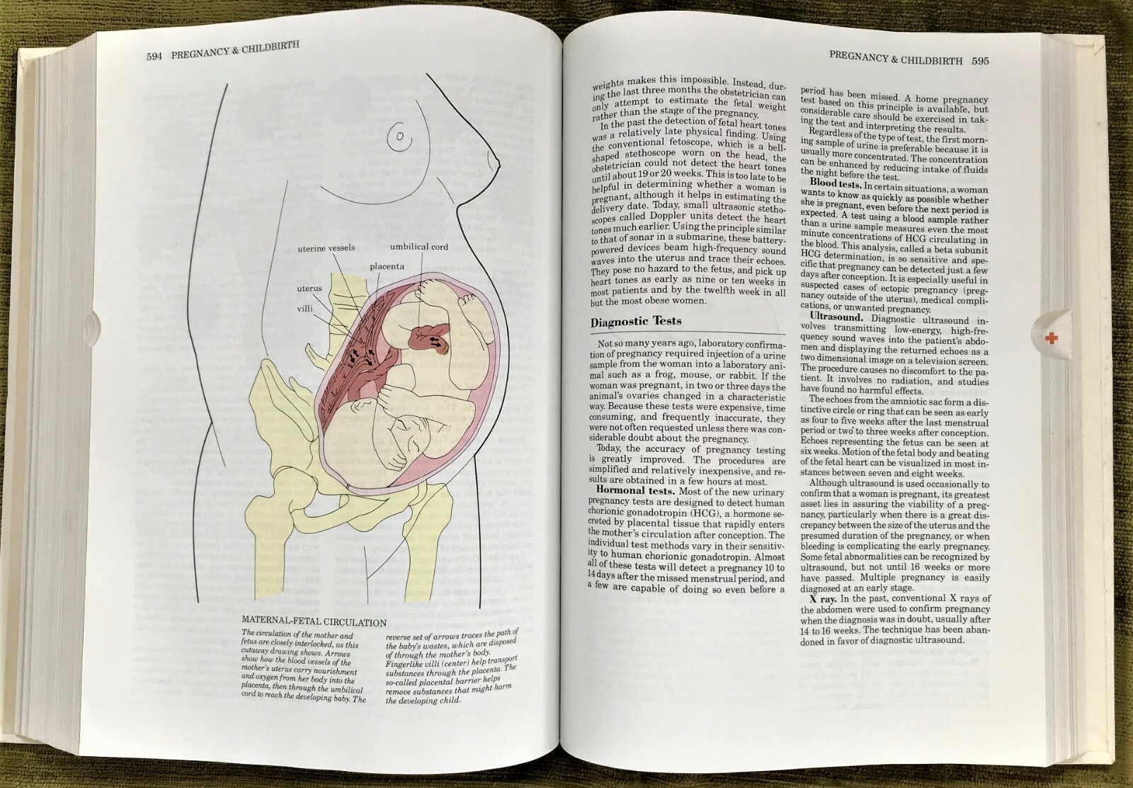 Family Medical Guide Hardcover Illustrated – 896 pages