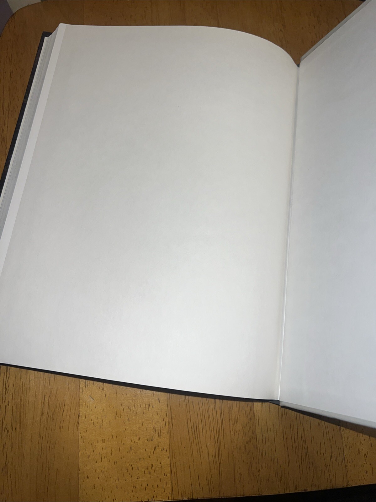 Natural Disasters by Patrick L. Abbott (2019, Hardcover)