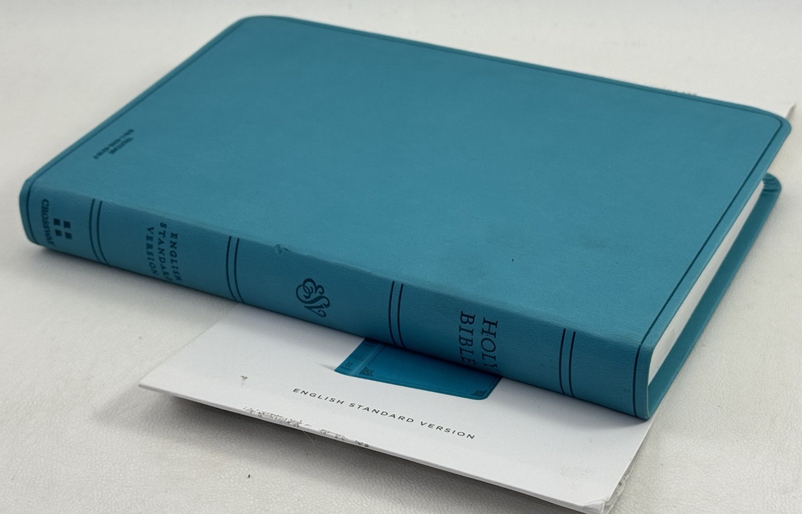 New ESV Large Print Value Thinline Bible (Trutone, Turquoise, Emblem Design)