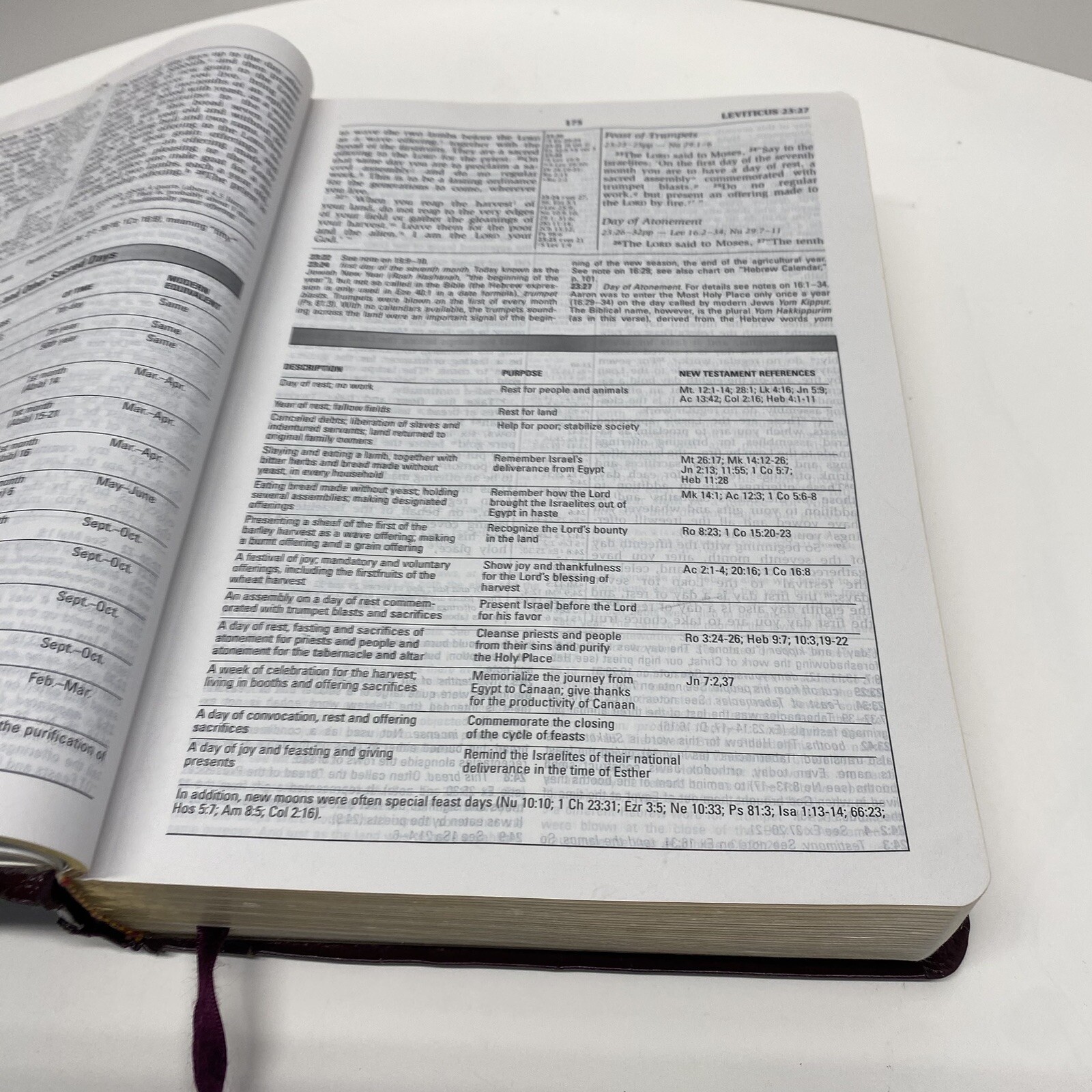 NIV Study Bible 10th Anniversary Edition Burgundy Leather Red Letter Used