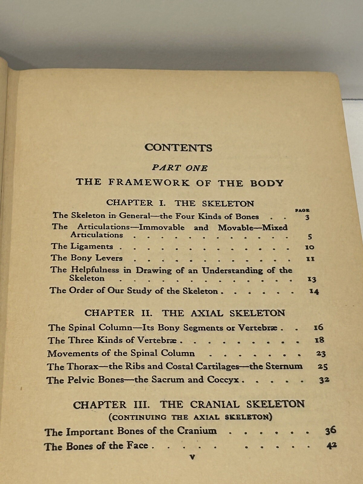 1922 Practical Art Anatomy, Human Skeletons and Musculatory Systems for Artists