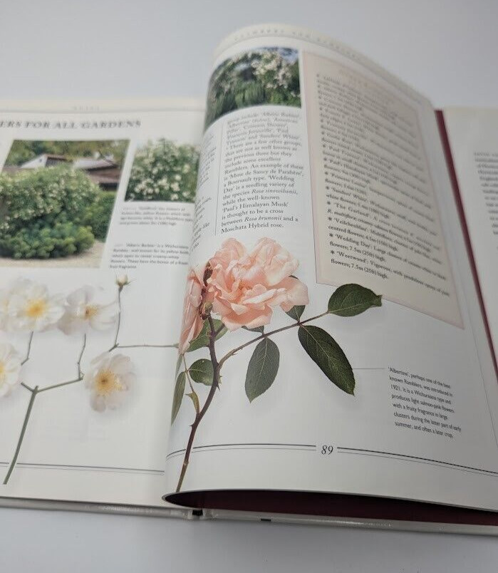 Practical Gardening Roses David Squire PB 1995 Complete Illustrated Plant Guide