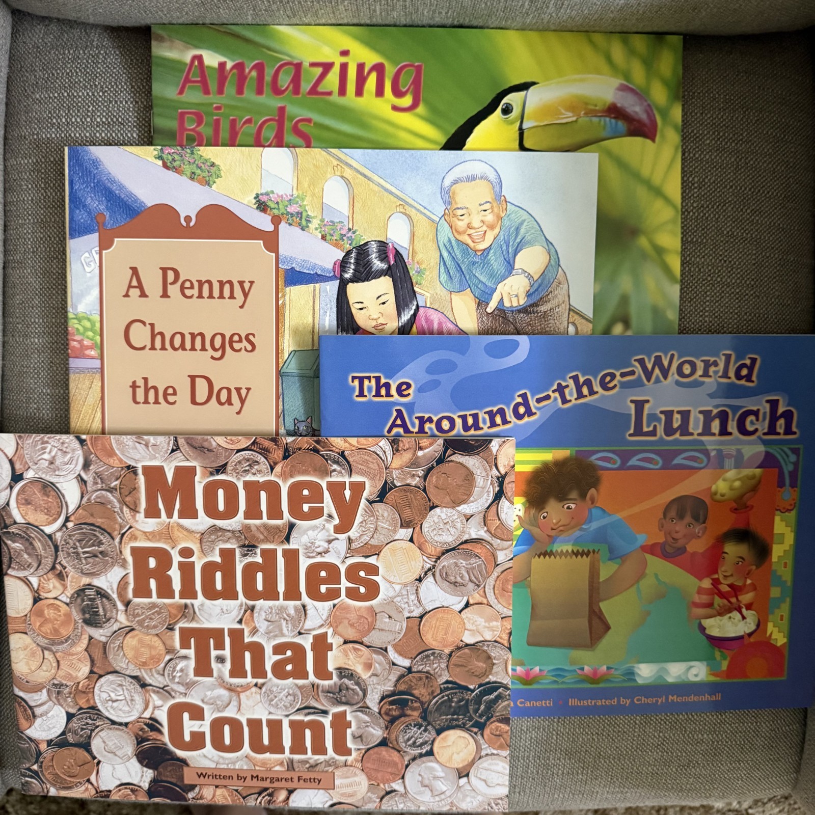 Steck Vaughn Transition Stage Classroom 2-3 Kit Teacher Guide 20 Books
