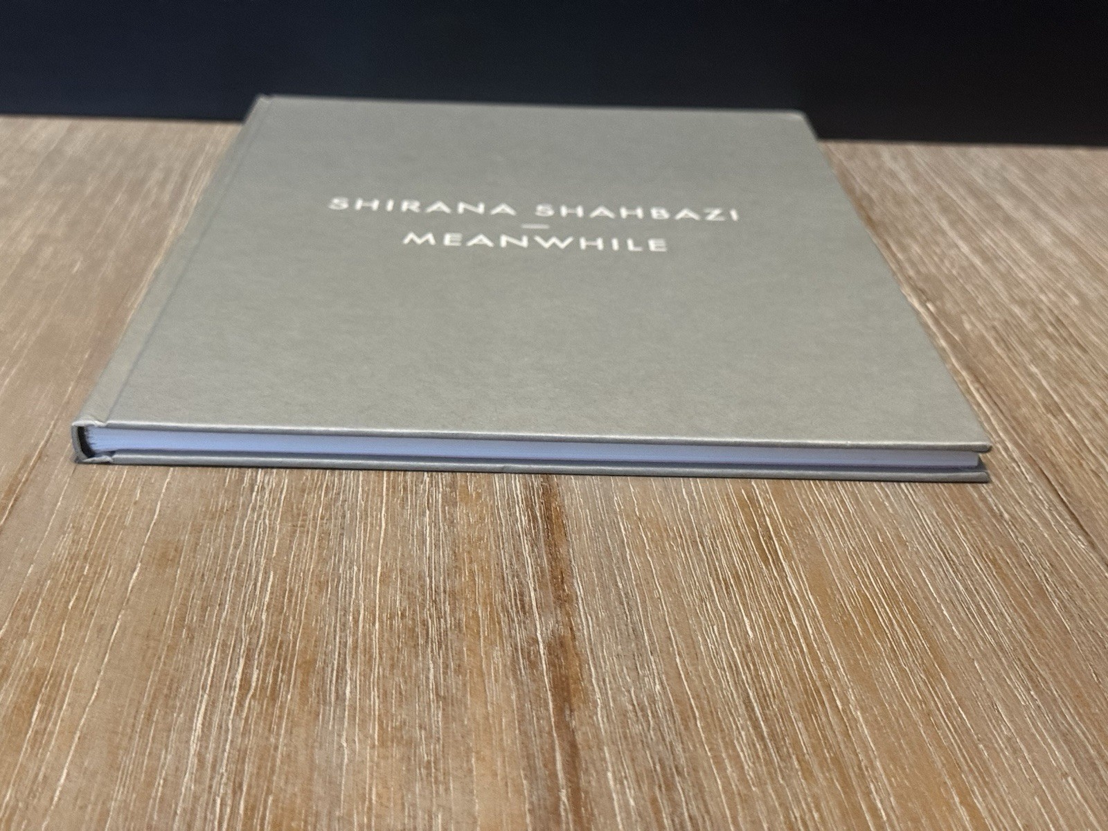 Shirana Shahbazi: Meanwhile by Shirana Shahbazi 2008 Hardcover / DJ