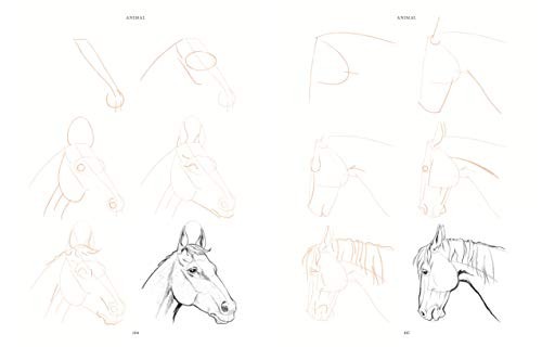 Draw 200 Animals: The Step-by-Step Way to Draw Horses, Cats, Dogs, Birds, Fish,